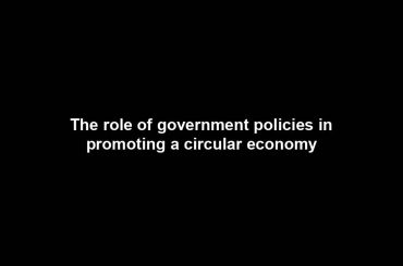 The role of government policies in promoting a circular economy